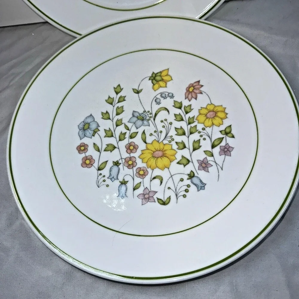 Corelle MEADOW Pattern 10.25